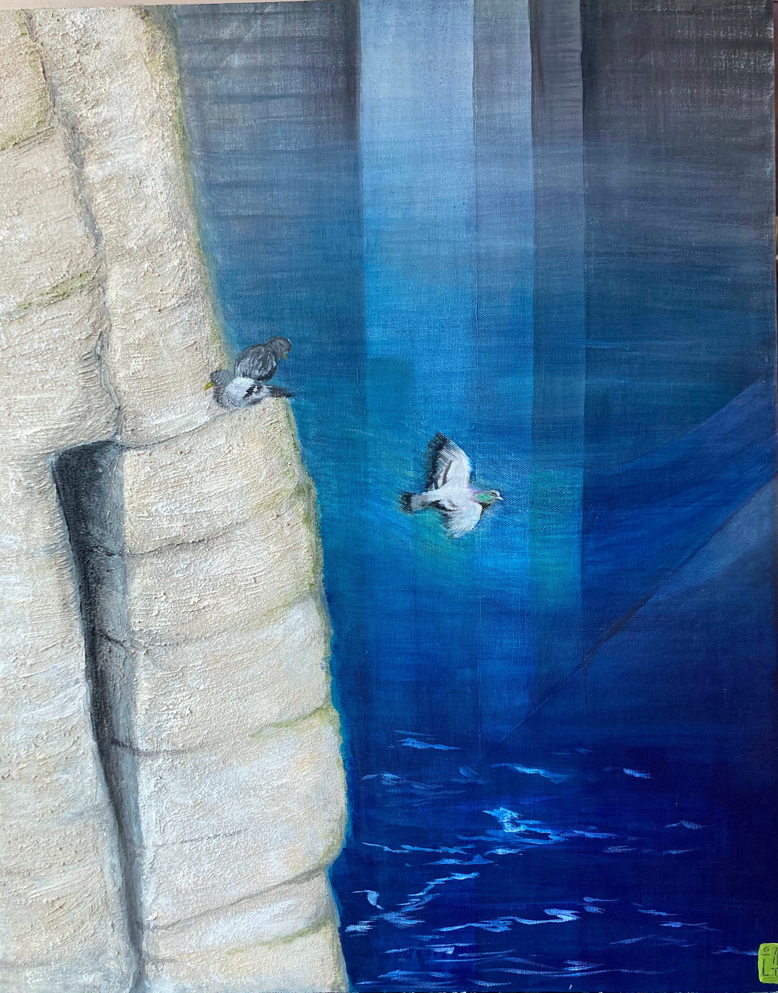 해안절벽 위 비둘기