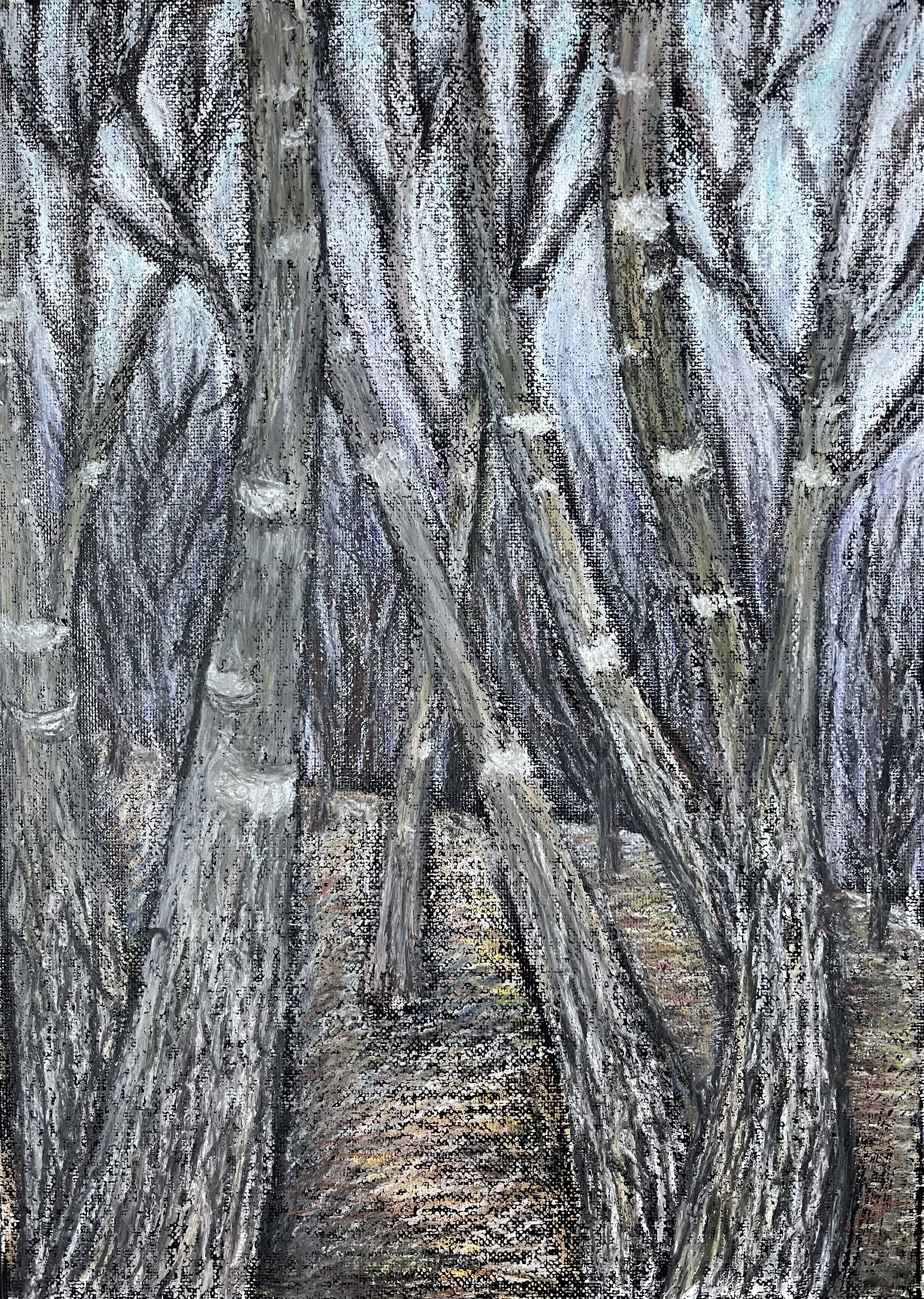 나무는 땅과 하늘을 잇는 통로 